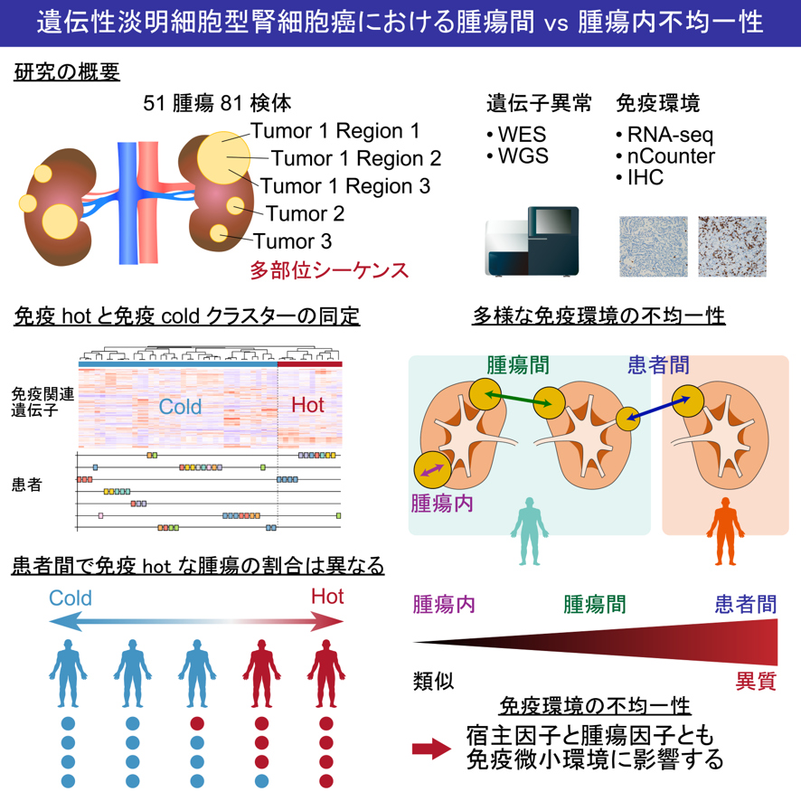 遺伝性淡明細胞型腎細胞癌における腫瘍間VS腫瘍内不均一性