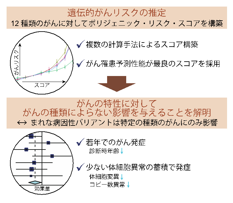 遺伝的がんリスクの推定
