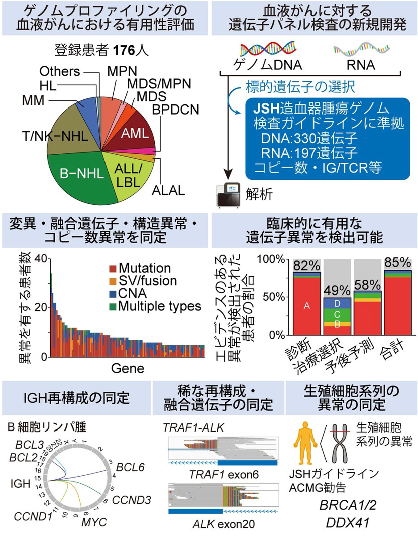 ゲノムプロファイリングの血液がんにおける有用性評価